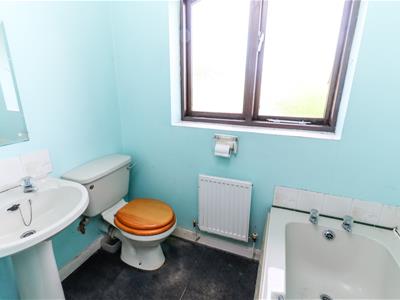 Picture 13